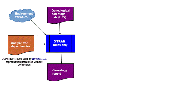 process flowchart